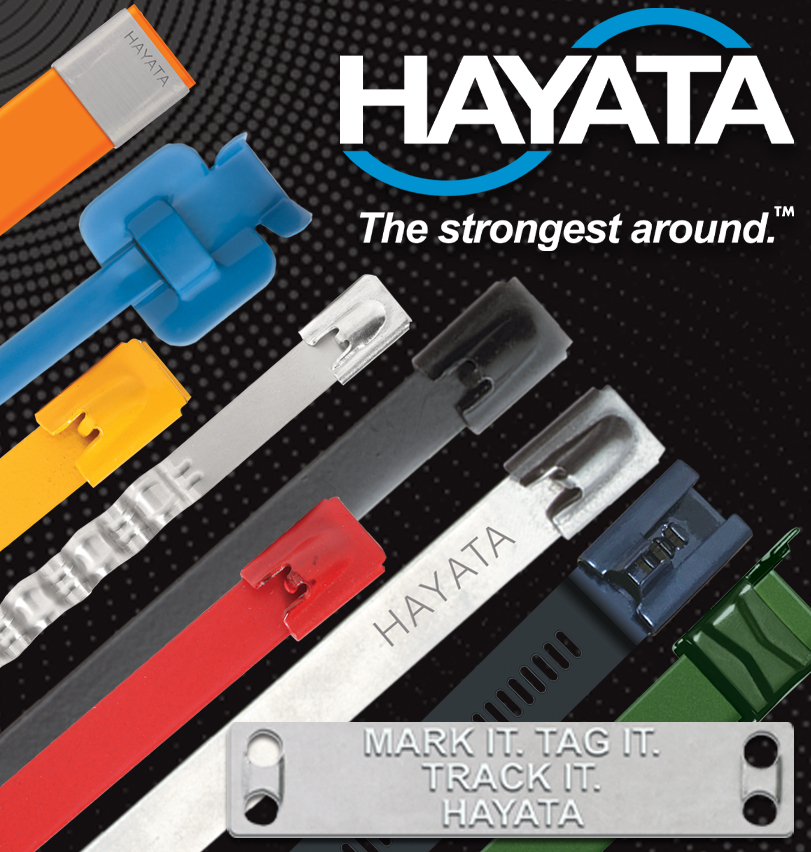 Home 1 Web - Hayata
